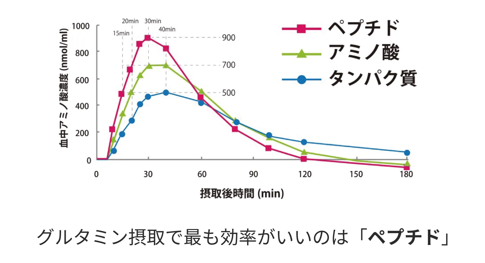 ペプチド、アミノ酸、タンパク質の吸収スピードの実験では、ペプチドが最も効率よくグルタミンを吸収することができた