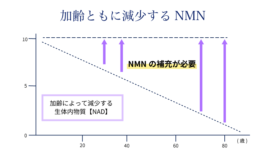 加齢とともに減少するNMN（ニコチンアミドモノヌクレオチド）加齢によって生体内物質NADが減少することからNMNの補填が必要