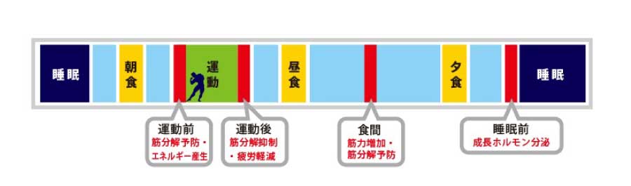 アミノペプチドアスリートの飲み方